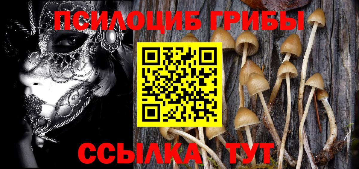 Галлюциногенные грибы ЛСД Борисоглебск